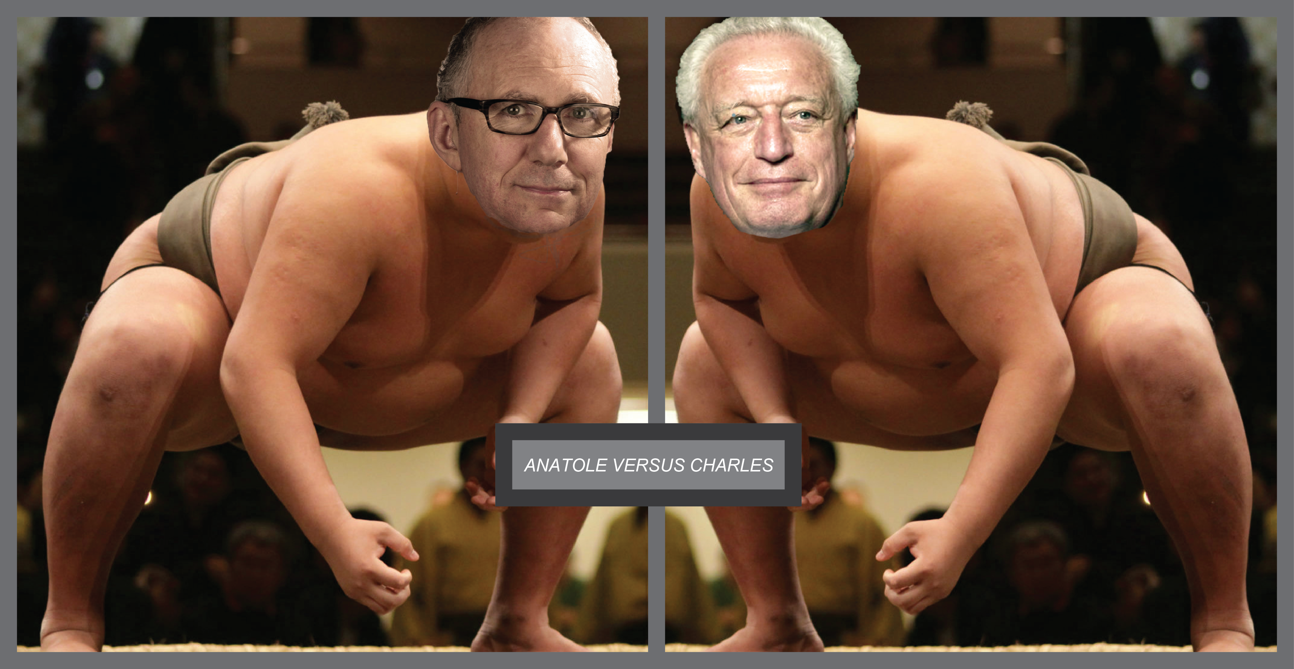 Anatole V Charles